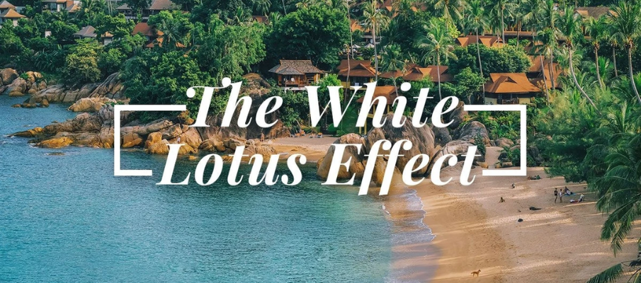 the white lotus effect travel 