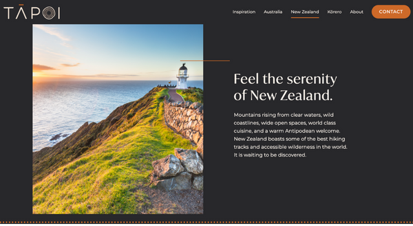 Tapoi Travel website design project
