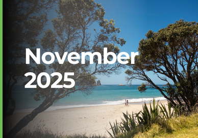 Tomahawk november 2025 newsletter