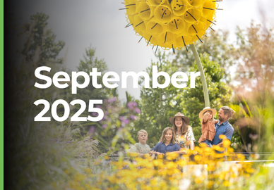 Tomahawk September 2025 tourism marketing newsletter