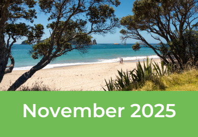 Tomahawk november 2025 newsletter