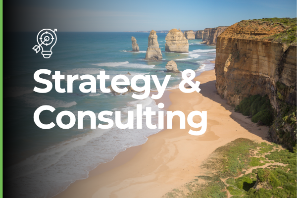 strategy and consulting services for tourism